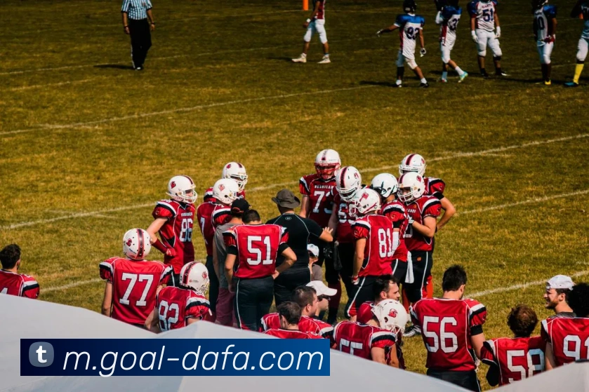 App Interface Preview